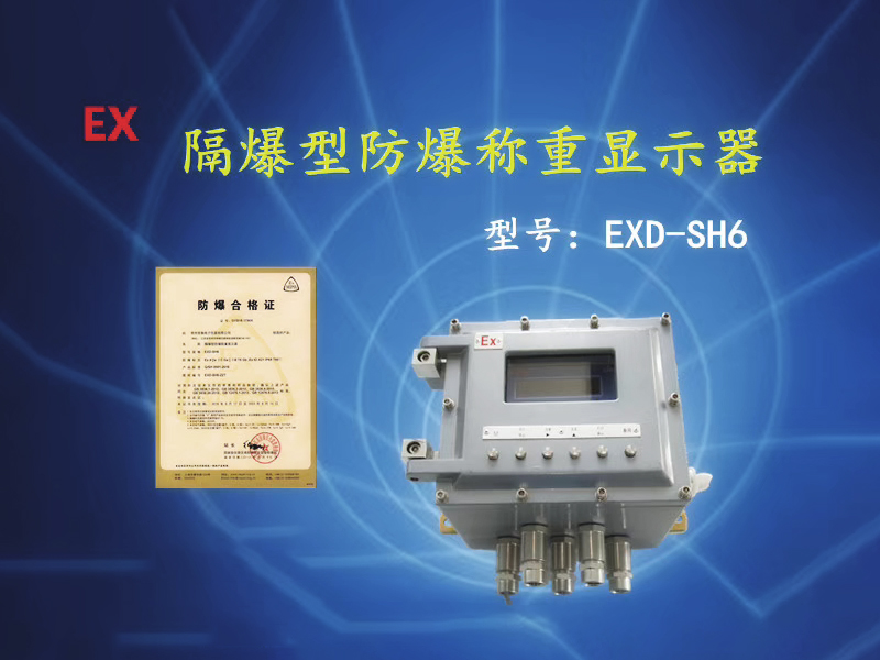 Explosion-proof weighing system (metering module)